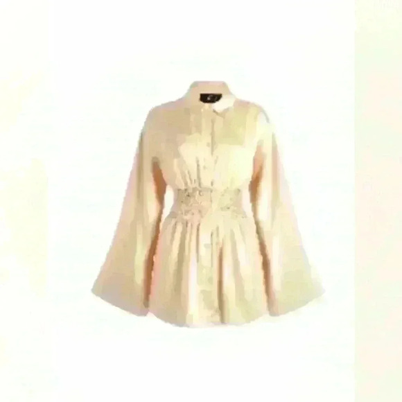 CIDER  satin shirt dress - Picture 1 of 5
